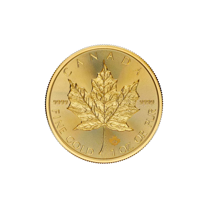 Canada 2024 Maple Leaf Au999 9 1oz Z Ota Uncja   1976 